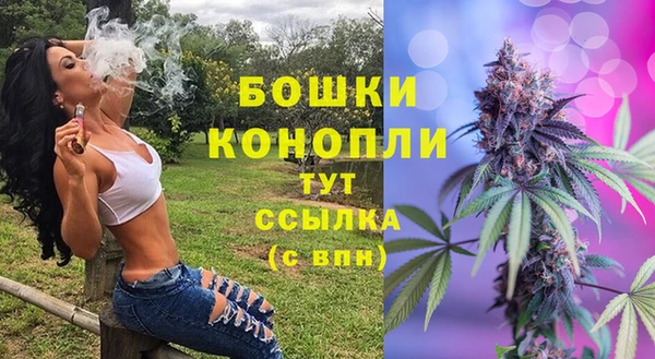 СК Аркадак