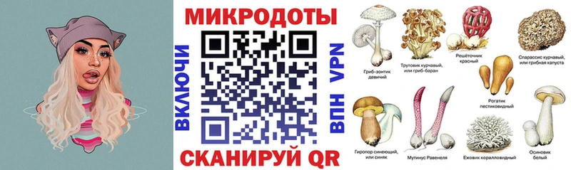 Галлюциногенные грибы Cubensis  Купить  Байкальск 